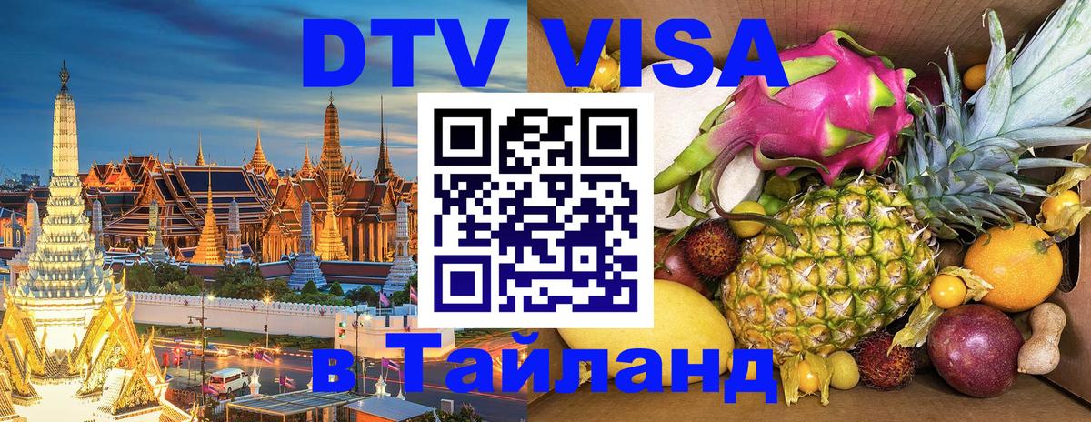 Оформление DTV визы под ключ: стоимость и тарифы, только загранпаспорт - Великий Новгород  03.10.2025 